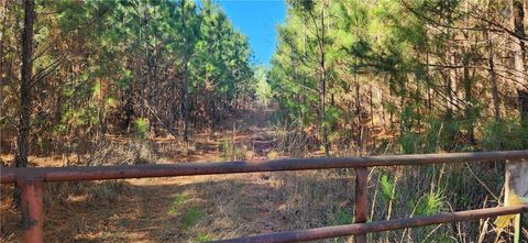 Vacant Land For Sale - Jaudon Road<br/> Elbert County, Elberton, GA 30635