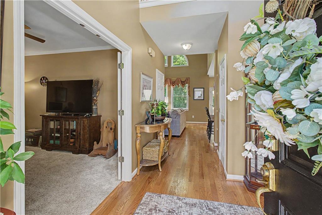 80 Golden Aster Trace