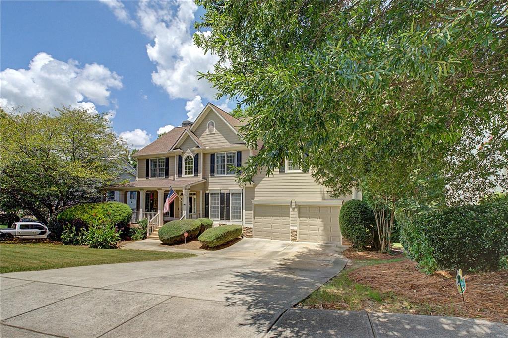 80 Golden Aster Trace