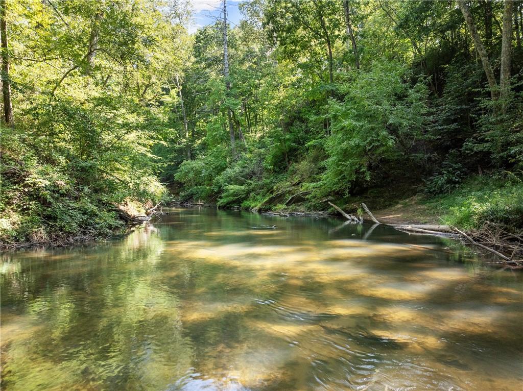 500 Mccartan Trail, Clarkesville, Georgia image 3