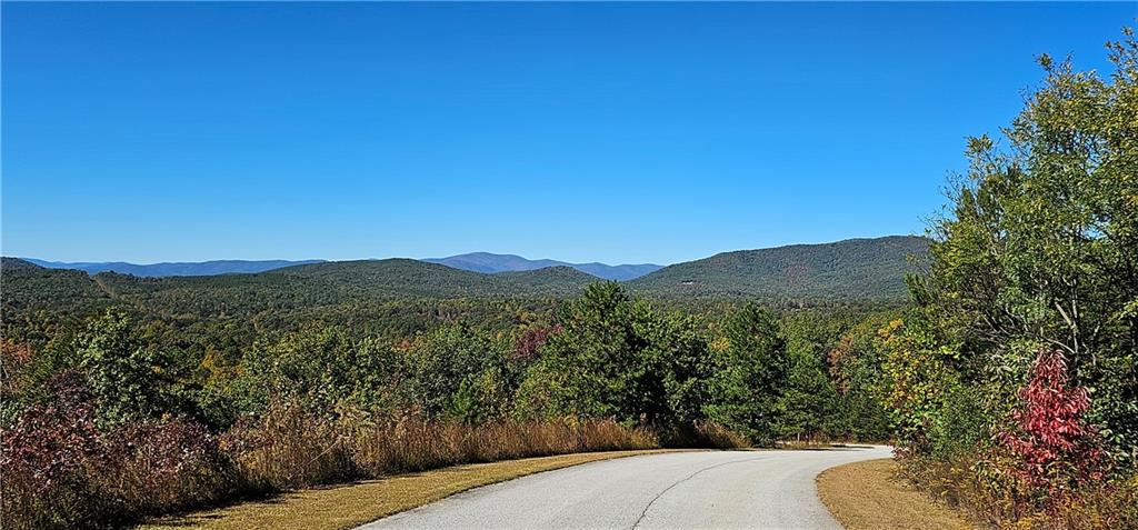 Mountain Ridge Drive, Clarkesville, Georgia image 7