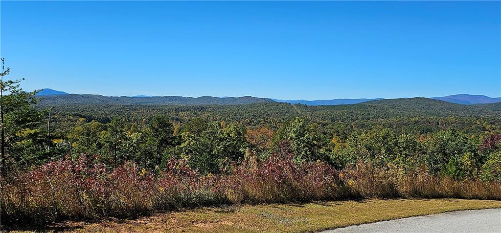 Mountain Ridge Drive, Clarkesville, Georgia image 6