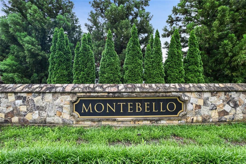 3525 Montebello Parkway, Cumming, Georgia image 49