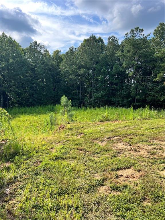 1004 Crossroad Trail