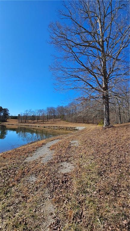 Snote Jones Road, Dallas, Georgia image 30
