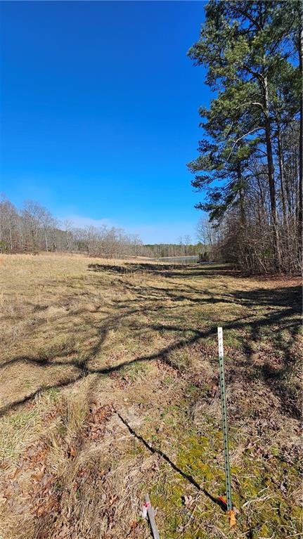 Snote Jones Road, Dallas, Georgia image 17