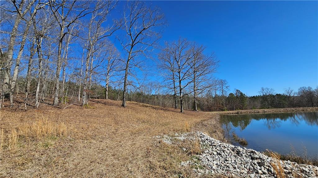Snote Jones Road, Dallas, Georgia image 27