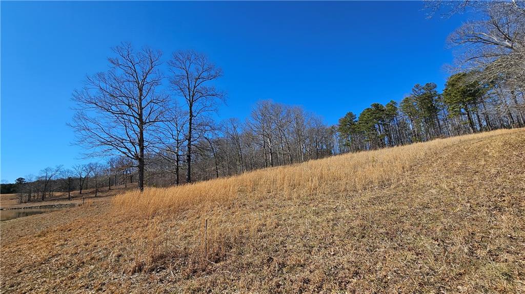 Snote Jones Road, Dallas, Georgia image 31