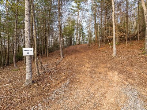 Vacant Land For Sale - TR B East New Hope Road<br/> Ellijay, GA 30536
