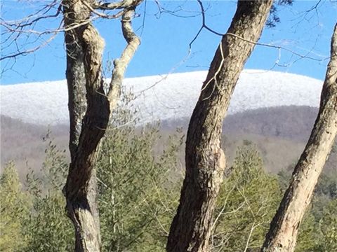 A home in Ellijay