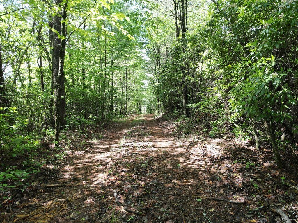 The perfect setting for your mountain getaway! 9.6 acres in a quiet community convenient to downtown Ellijay. This property offers gorgeous year round mountain views, convenient location, and a small rushing creek runs one boundary. Multiple built sites, soil test available for two of them, and the property can be further divided into lots of not less than 2 acres. This mountain paradise is convenient to wineries in an abundance of outdoor activities, kayaking, hiking, hunting, fishing, and there is wildlife everywhere. This is a special piece with very limited restrictions. There is a driveway, cut and cleared build site already in place, saving you time and money.
