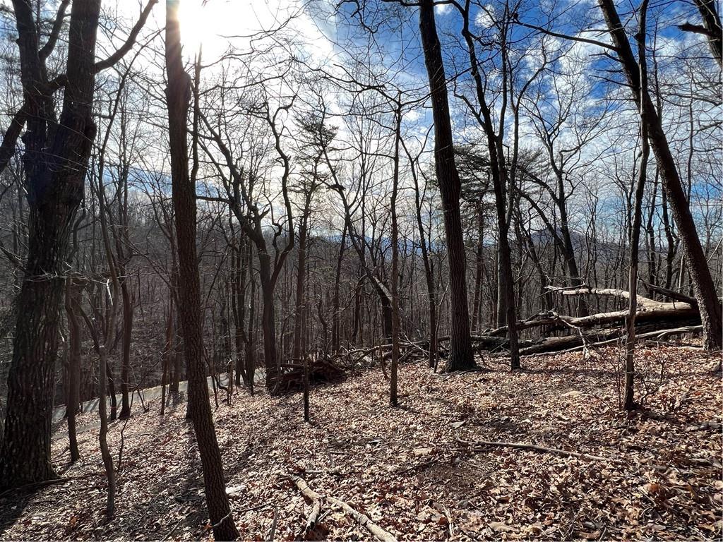 4528 Sassafras Mountain Trail