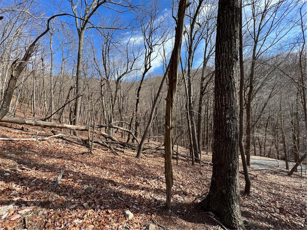 4528 Sassafras Mountain Trail