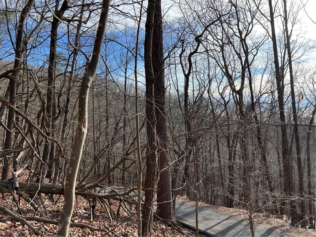 4528 Sassafras Mountain Trail
