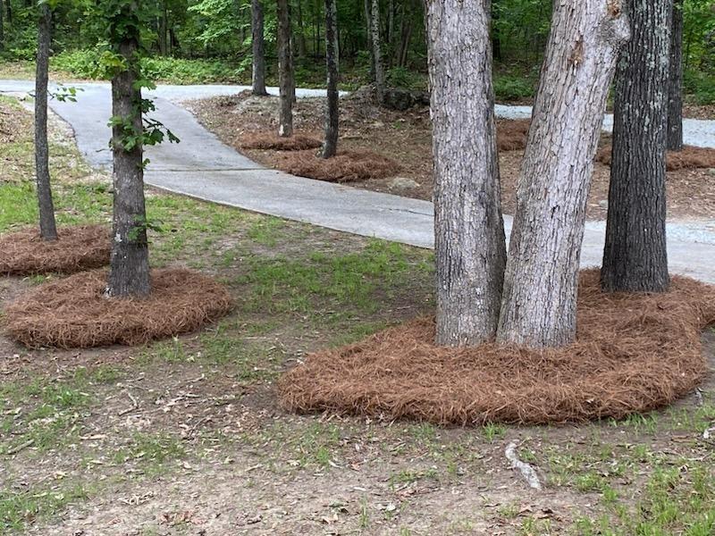 4470 SW East Fairview Drive