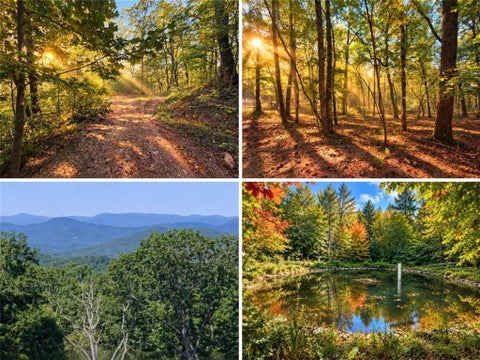Vacant Land For Sale - 14.06 Old Burnt Mountain Road<br/> Ellijay, GA 30536