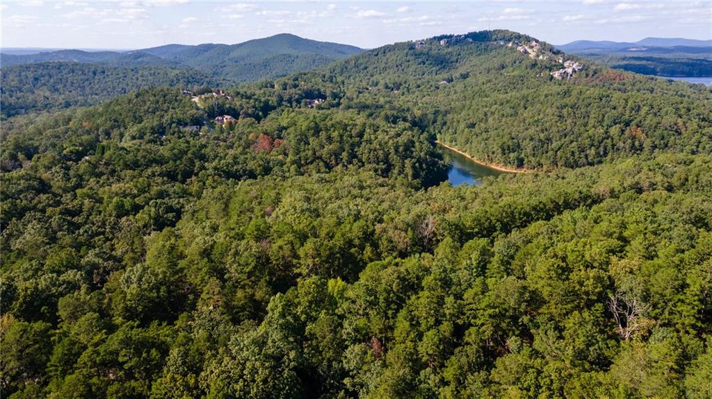 Red Top Mountain Road, Cartersville, Georgia image 6