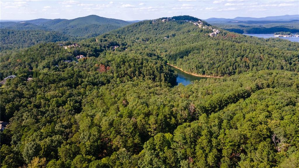 Red Top Mountain Road, Cartersville, Georgia image 7