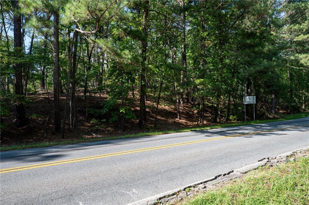 Red Top Mountain Road, Cartersville, Georgia image 12