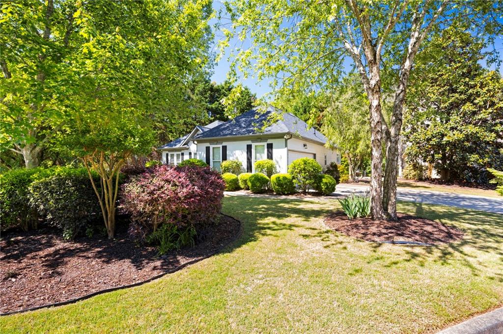 401 Azalea Cove, Canton, Georgia image 28