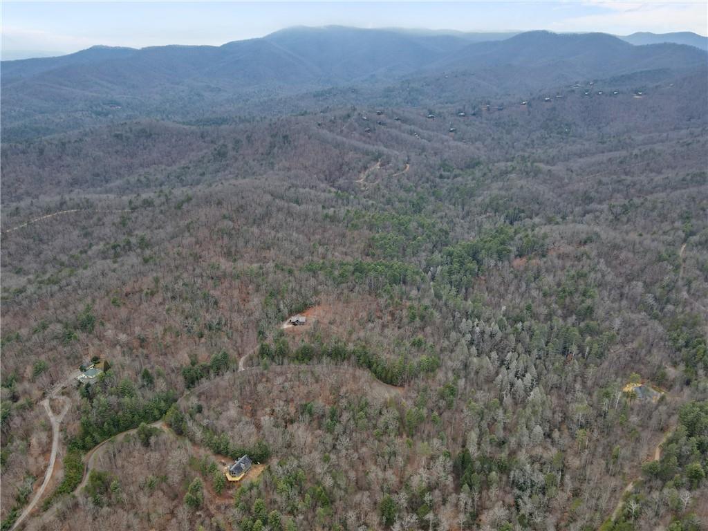 Bryant Creek Road, Ellijay, Georgia image 17