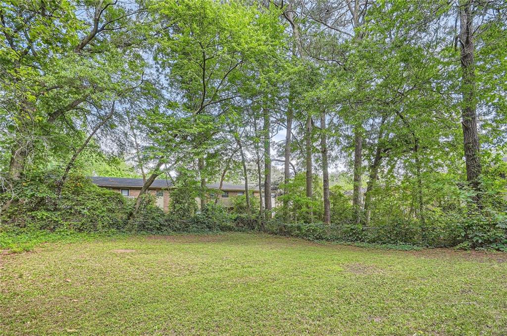 1723 Ritcherson Street, Marietta, Georgia image 26