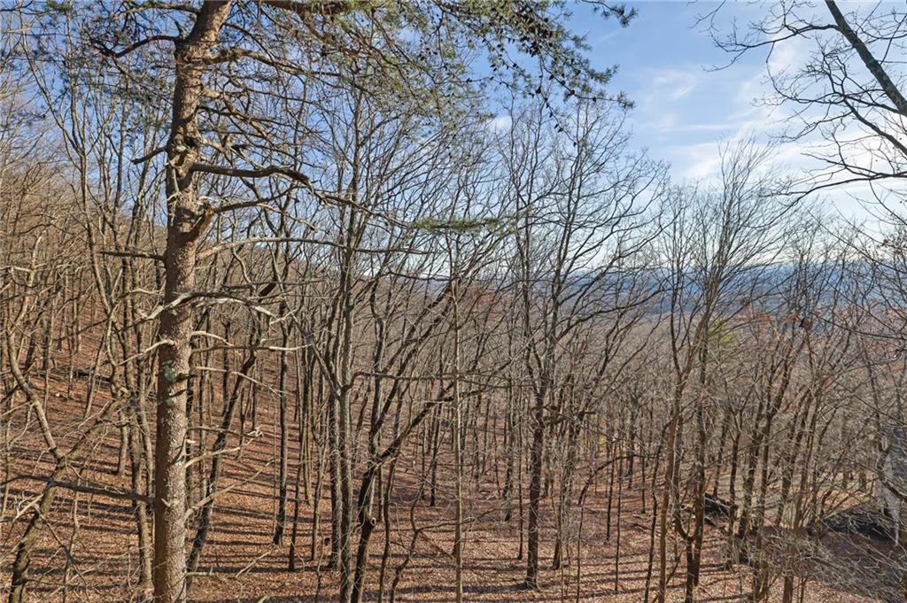 360 Cutthroat Ridge, Jasper, Georgia image 26