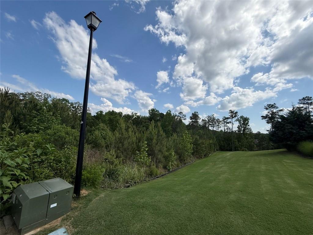 40 Arbor Springs Parkway, Newnan, Georgia image 3