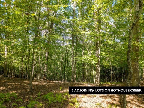 Vacant Land For Sale - LT 27/ Donna Lee Lane<br/> Mineral Bluff, GA 30559