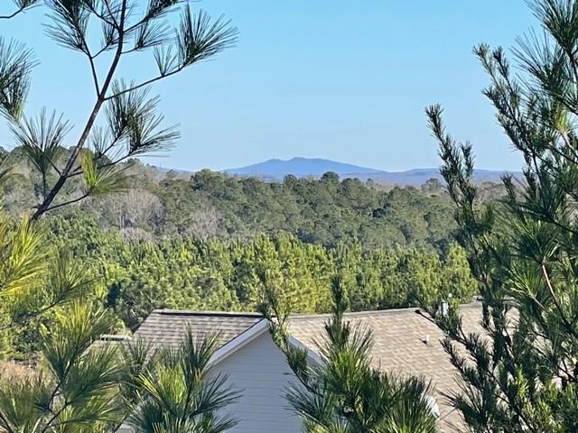 419 Canyon Creek Landing