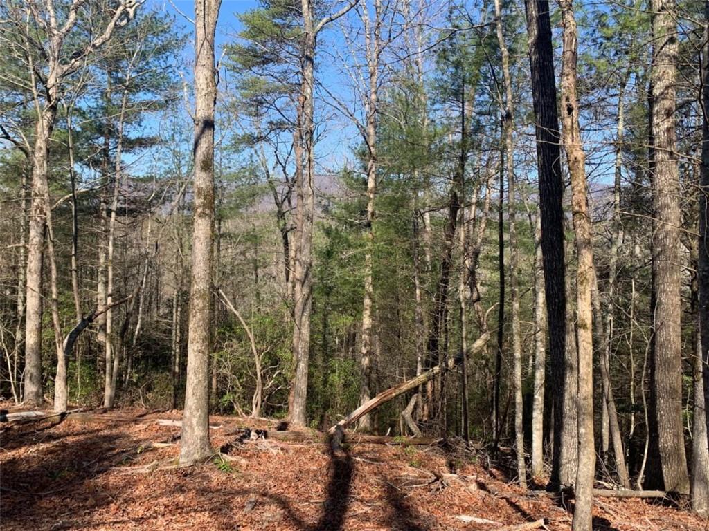 0 East New Hope Road