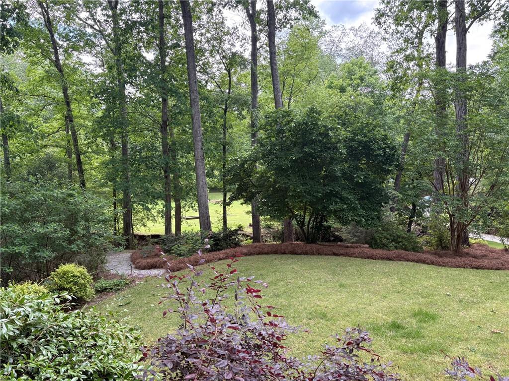 6054 Nebo Road, Hiram, Georgia image 7