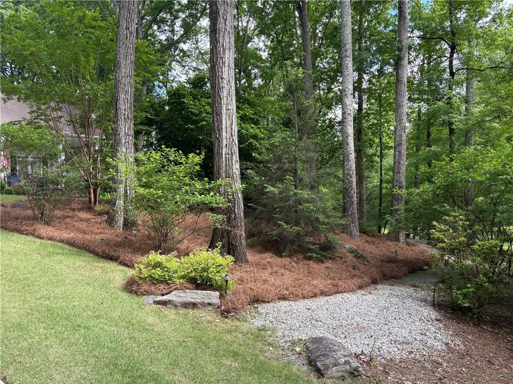 6054 Nebo Road, Hiram, Georgia image 9