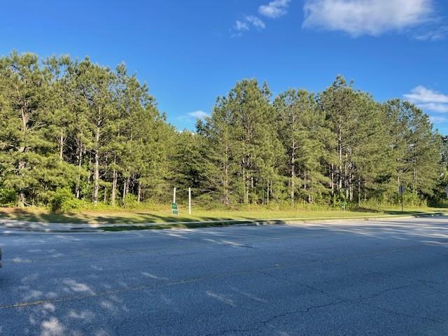 Shannon Parkway, Union City, Georgia image 6