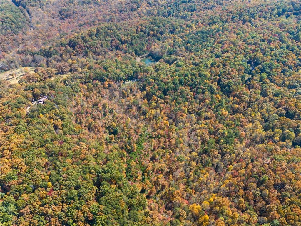 16.31 Old Burnt Mountain Road, Ellijay, Georgia image 13