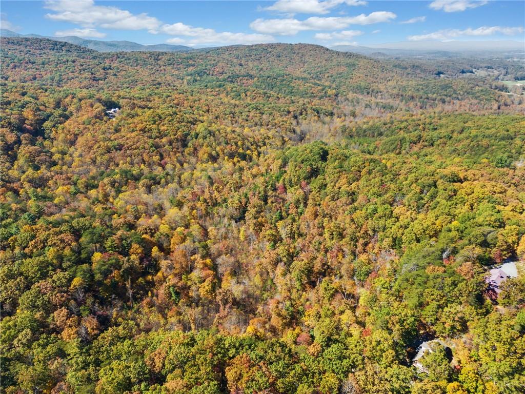 16.31 Old Burnt Mountain Road, Ellijay, Georgia image 9