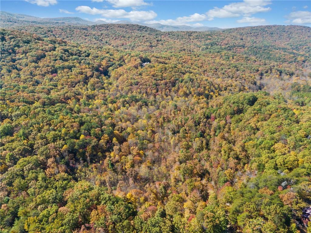 16.31 Old Burnt Mountain Road, Ellijay, Georgia image 10