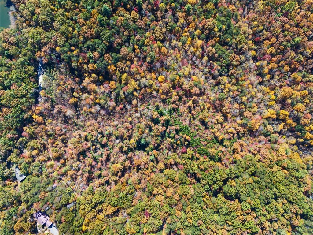 16.31 Old Burnt Mountain Road, Ellijay, Georgia image 12