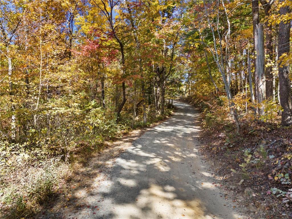 16.31 Old Burnt Mountain Road, Ellijay, Georgia image 3