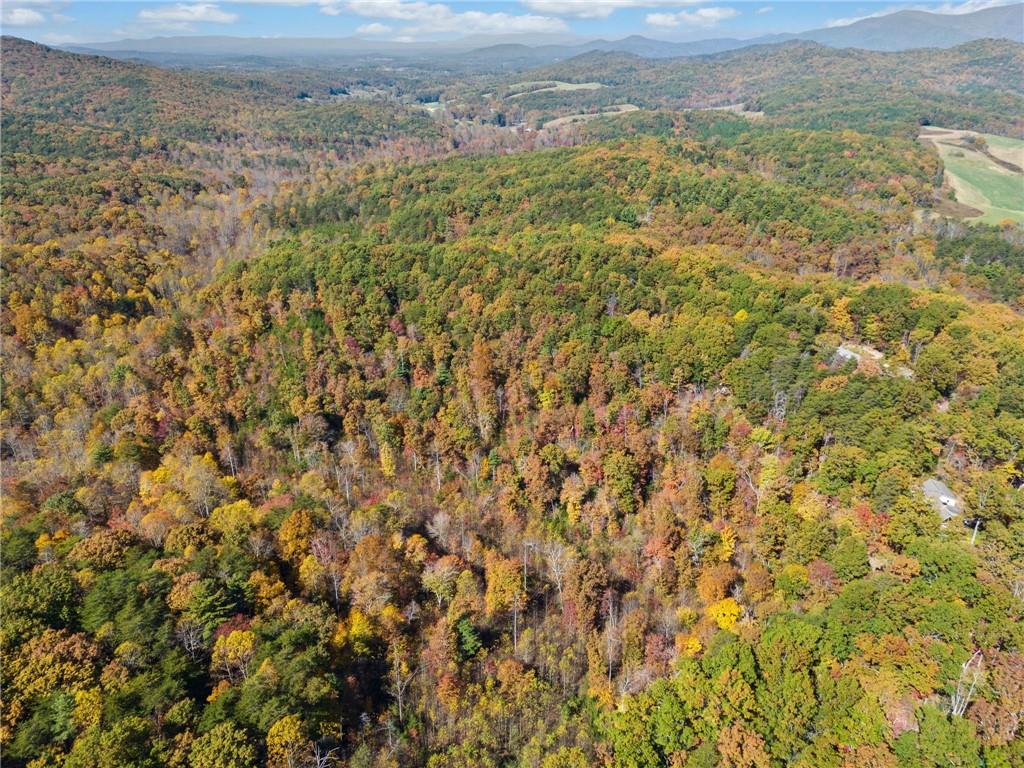 16.31 Old Burnt Mountain Road, Ellijay, Georgia image 7