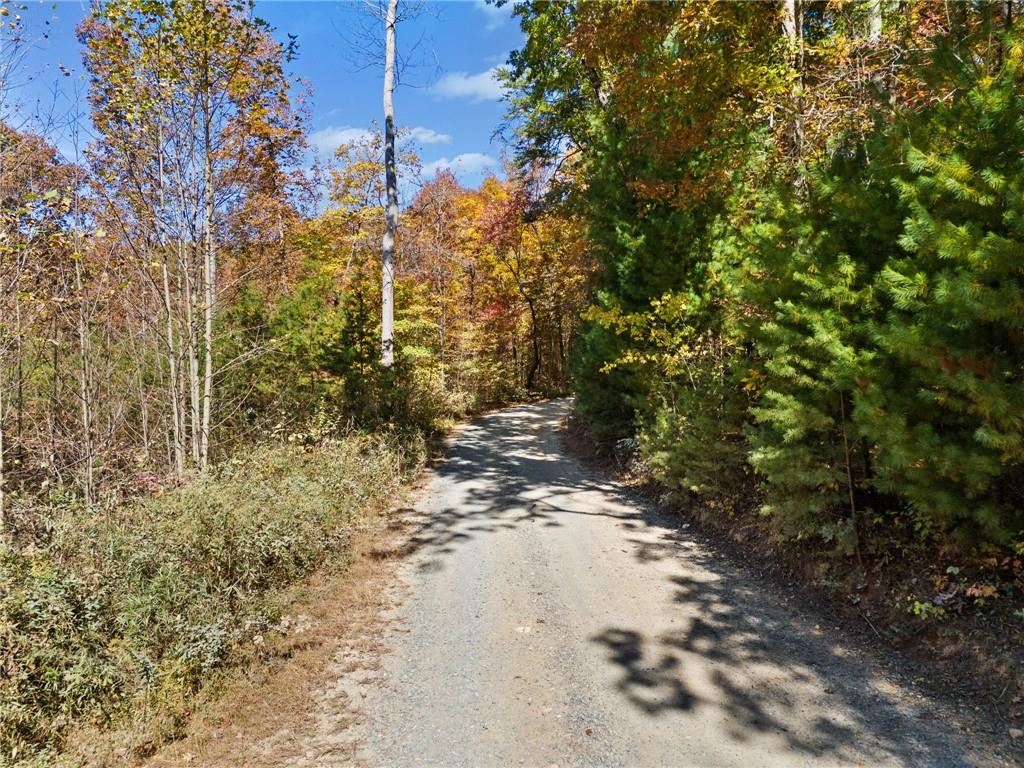 16.31 Old Burnt Mountain Road, Ellijay, Georgia image 1