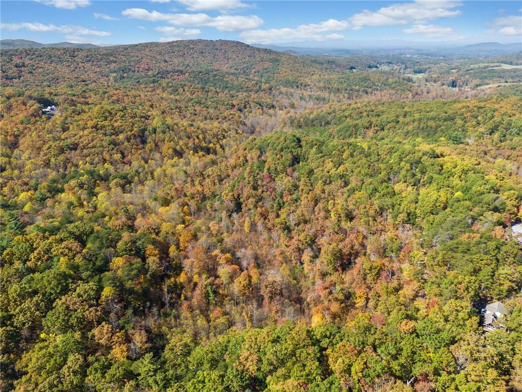 16.31 Old Burnt Mountain Road, Ellijay, Georgia image 8