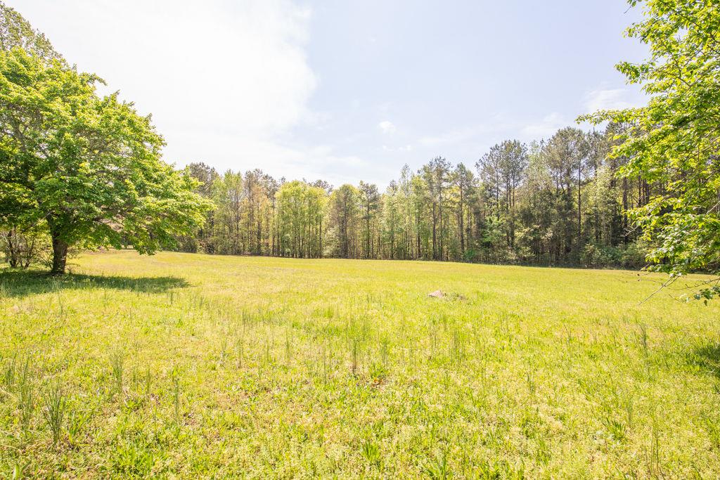 91 Almetie Drive, Toccoa, Georgia image 29