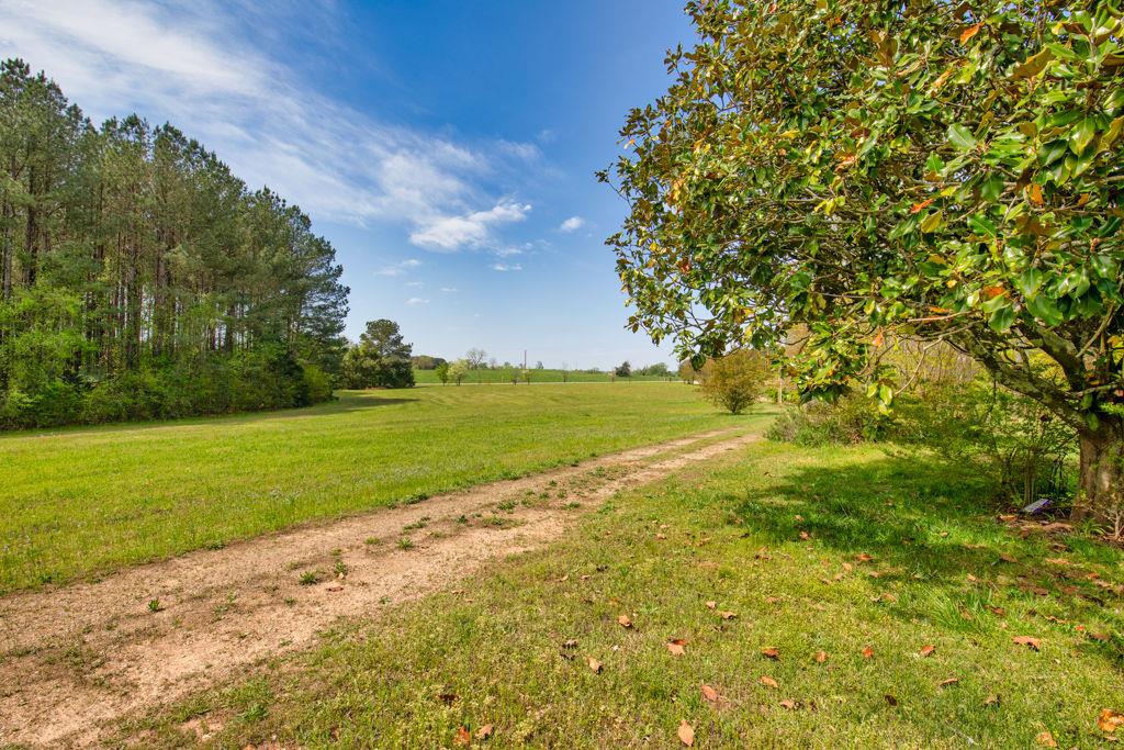 91 Almetie Drive, Toccoa, Georgia image 7