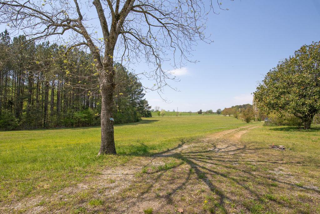 91 Almetie Drive, Toccoa, Georgia image 28