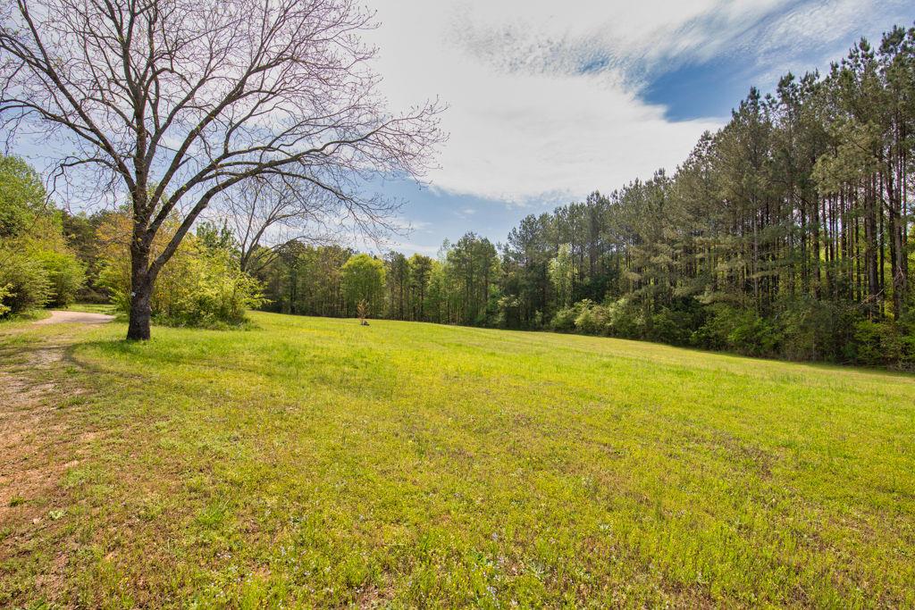 91 Almetie Drive, Toccoa, Georgia image 8