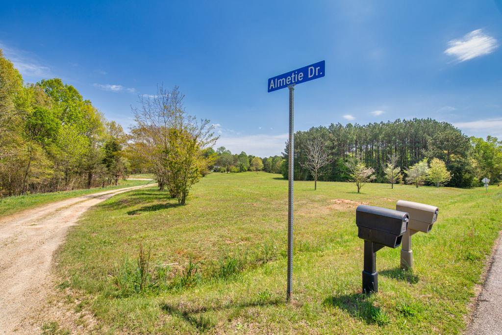91 Almetie Drive, Toccoa, Georgia image 50
