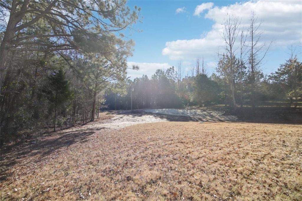 233 Irish Hill Drive, Concord, Georgia image 10
