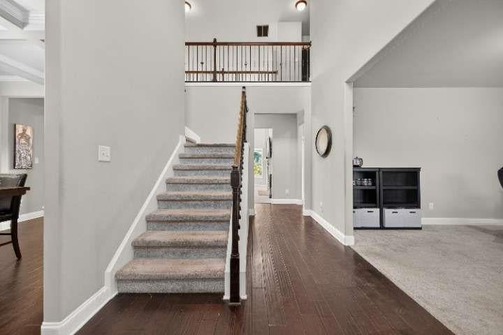 117 Palomino Drive