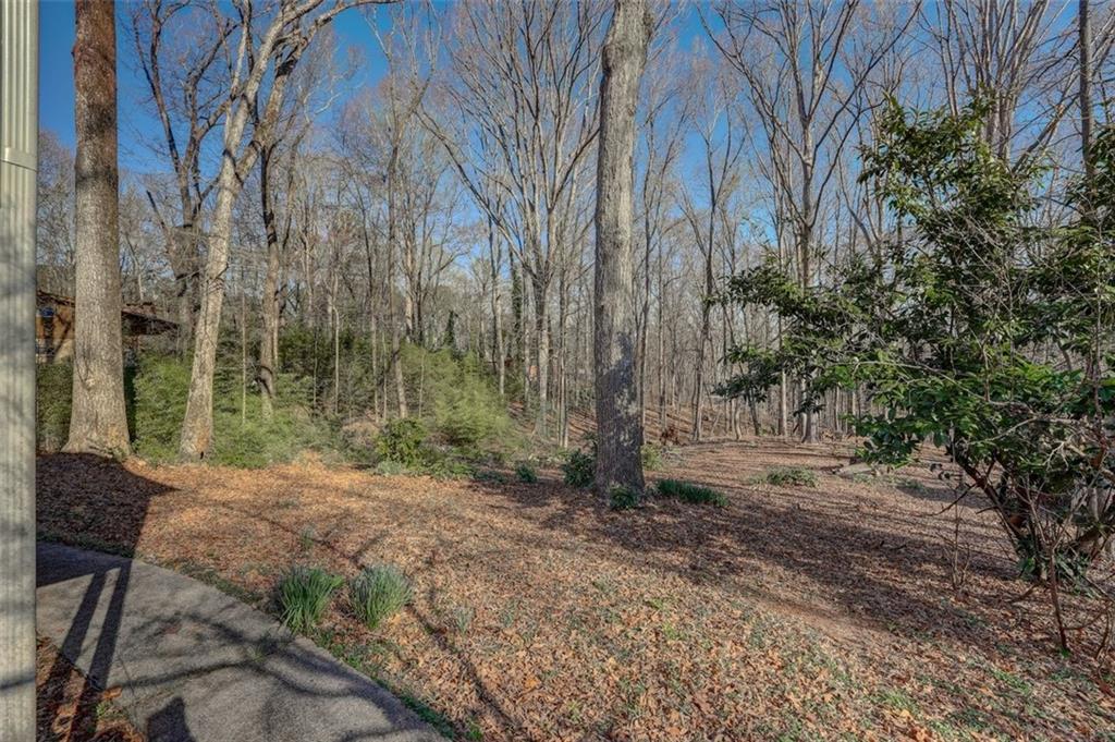 2870 Carla Drive, Kennesaw, Georgia image 45